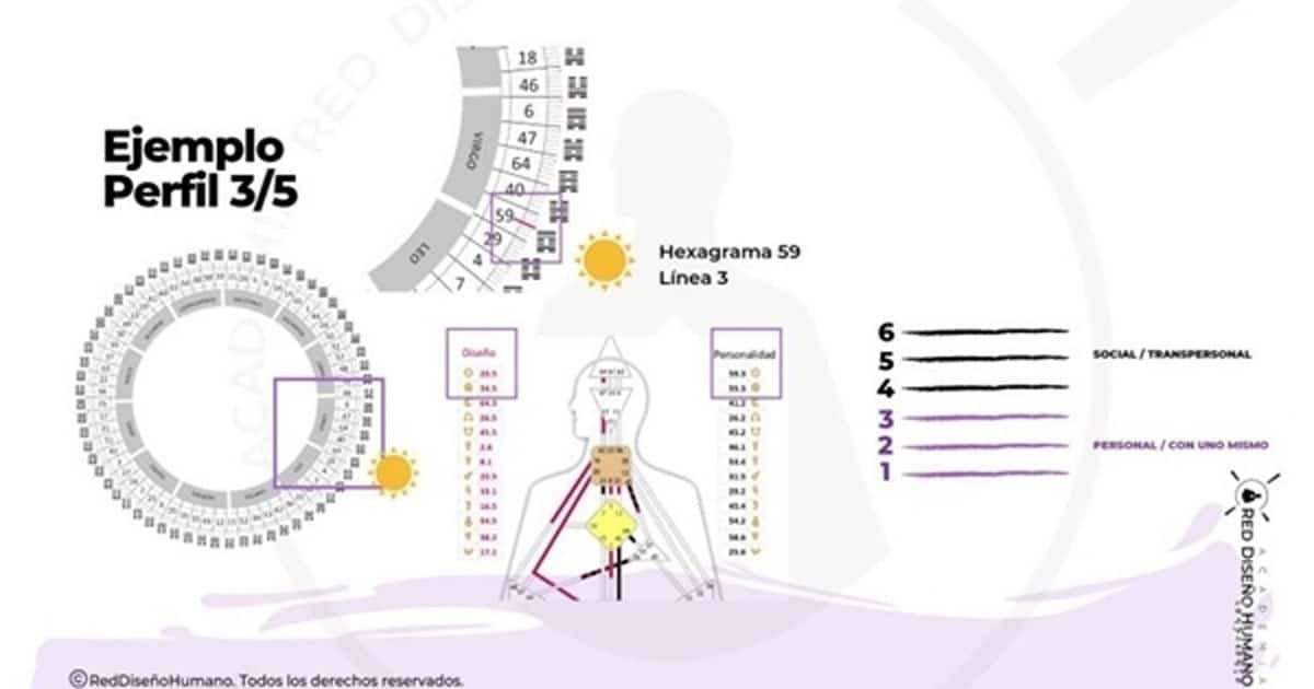 Diseño Humano Perfiles